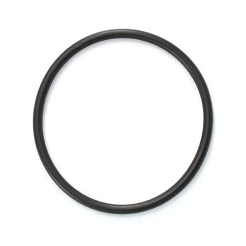 Astral Pool Pump Lid O'ring - Poolshop.com.au Astral Pool Pump Lid O'ring - Poolshop.com.au